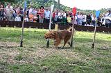 AGILITY - SAUT 201